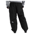 GTX Hex Ski Pants