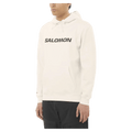 Main view of the Salomon 2026 Logo Hoodie in Whisper White colourway, unisex's model.