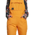 Snow Day Bib Pants - Womens