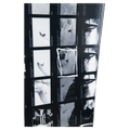 2027 Greats Snowboard