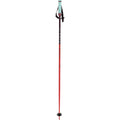 Volkl Phantastick Ski Pole
