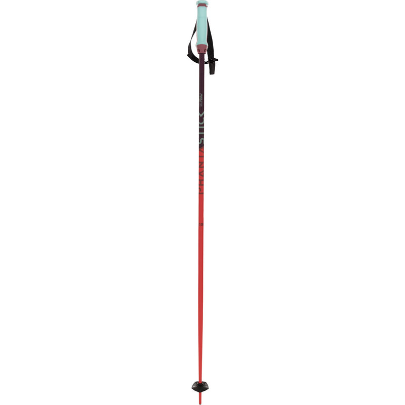 Volkl Phantastick Ski Pole