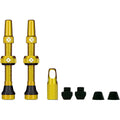 Tubeless Valves Kit V2