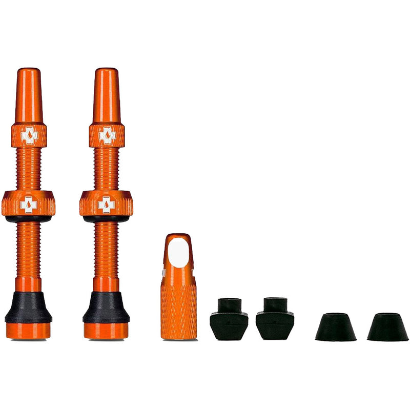Tubeless Valves Kit V2