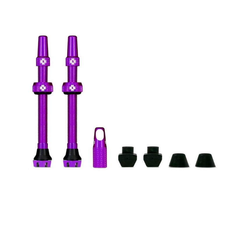 Tubeless Valves Kit V2