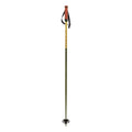 Phantastick Ski Poles