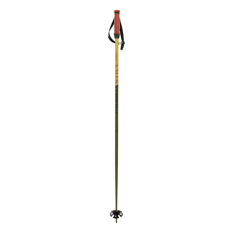 Phantastick Ski Poles